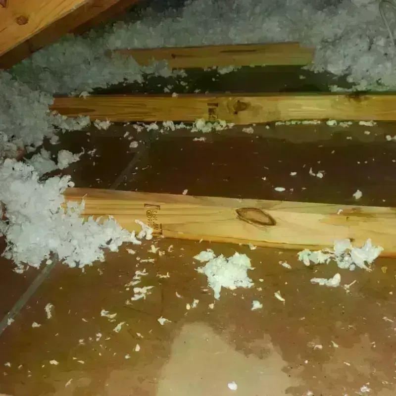 Attic Water Damage in Zebulon, NC