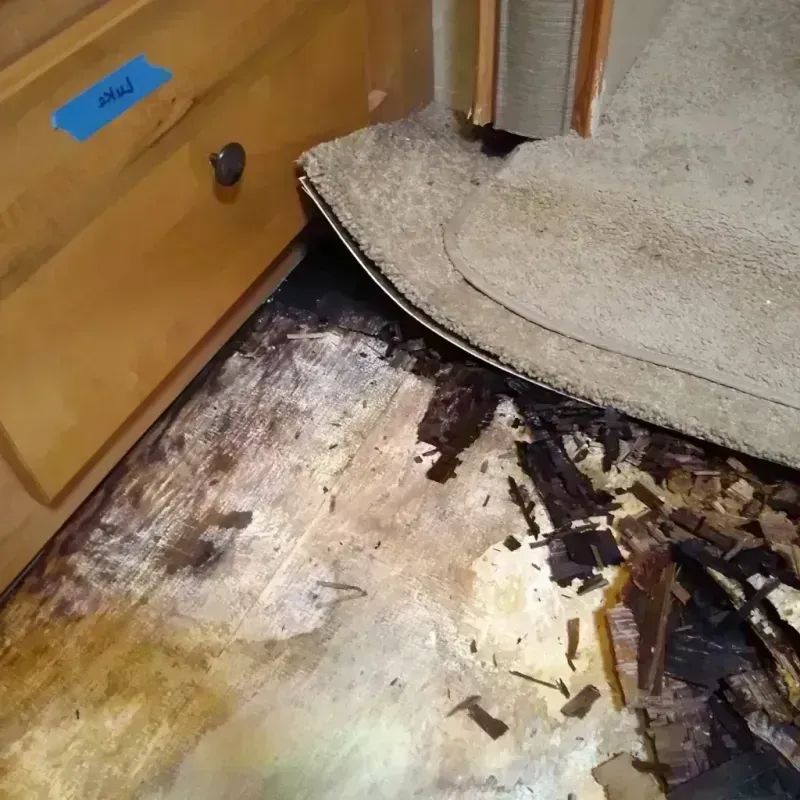 Best Wood Floor Water Damage Service in Zebulon, NC